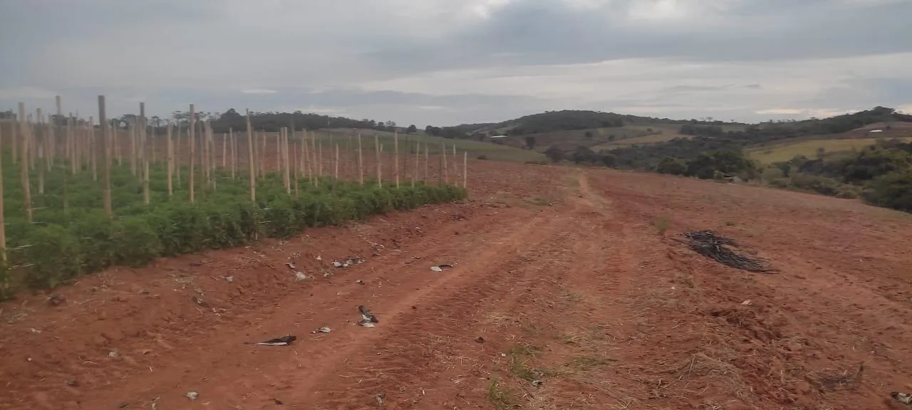 Imagem FAZENDA À VENDA - CRUCILÂNDIA (MG) 120 hectares de área total