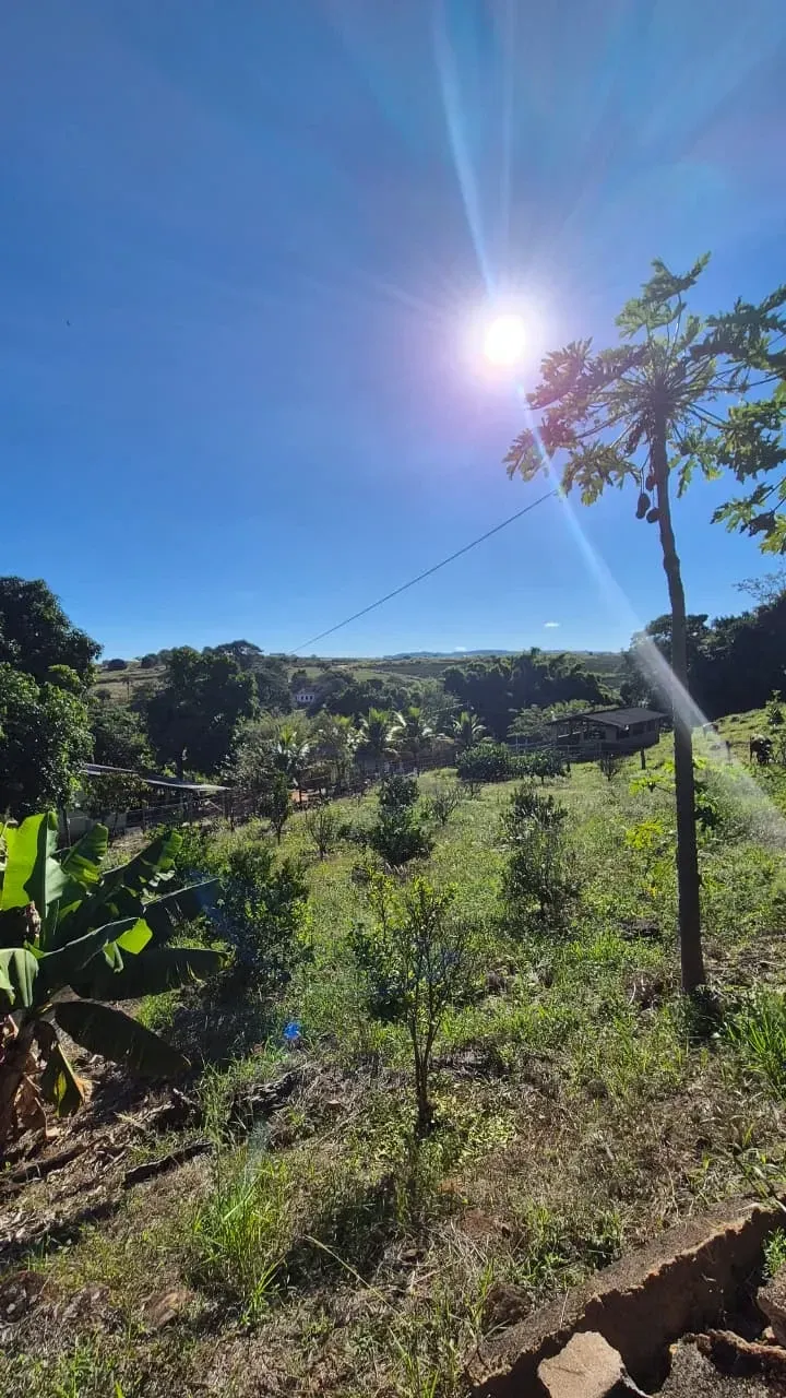 Imagem Sítio à Venda, 4 hectare em Monte Santo de Minas - Monte Santo de Minas