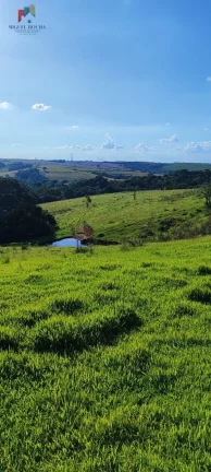 Imagem Sítio a venda em Itapetininga SP