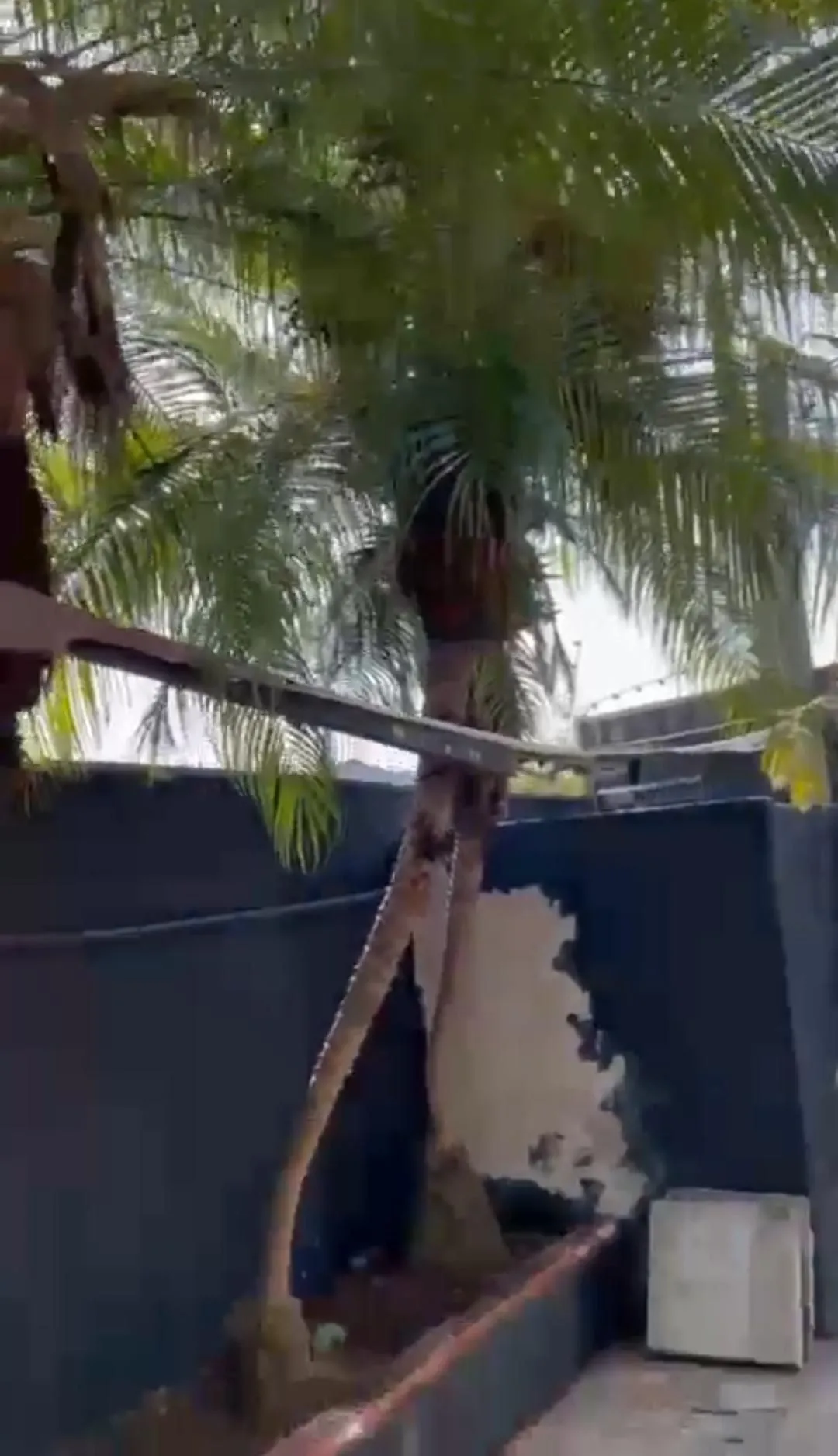 Imagem Prédio Comercial em Santana