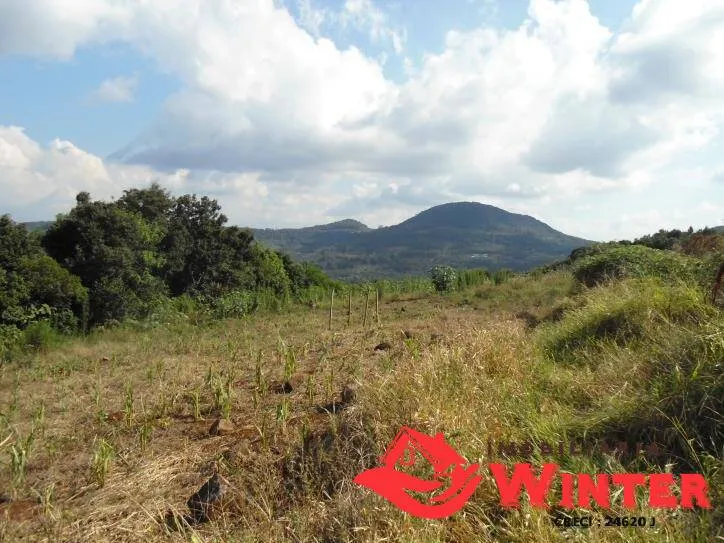 Imagem Bela chácara com 15 hectares no Morro Gaúcho, Vale Real.