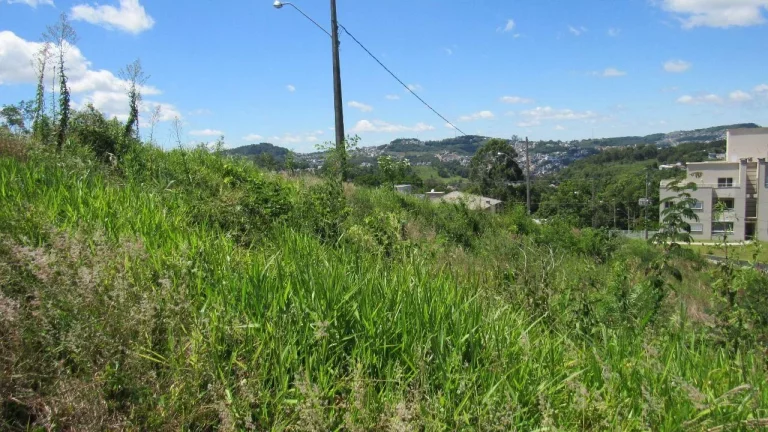 Foto do imóvel Terreno para Venda em Concórdia, Primavera em Sc-283 Rodovia Caetano Chiuchetta