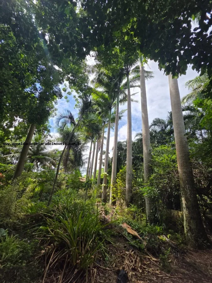 Imagem Granja para Venda em Macaíba, Zona de Expansão Urbana Sul, 2 dormitórios, 1 suíte, 2 banheiros, 5 vagas