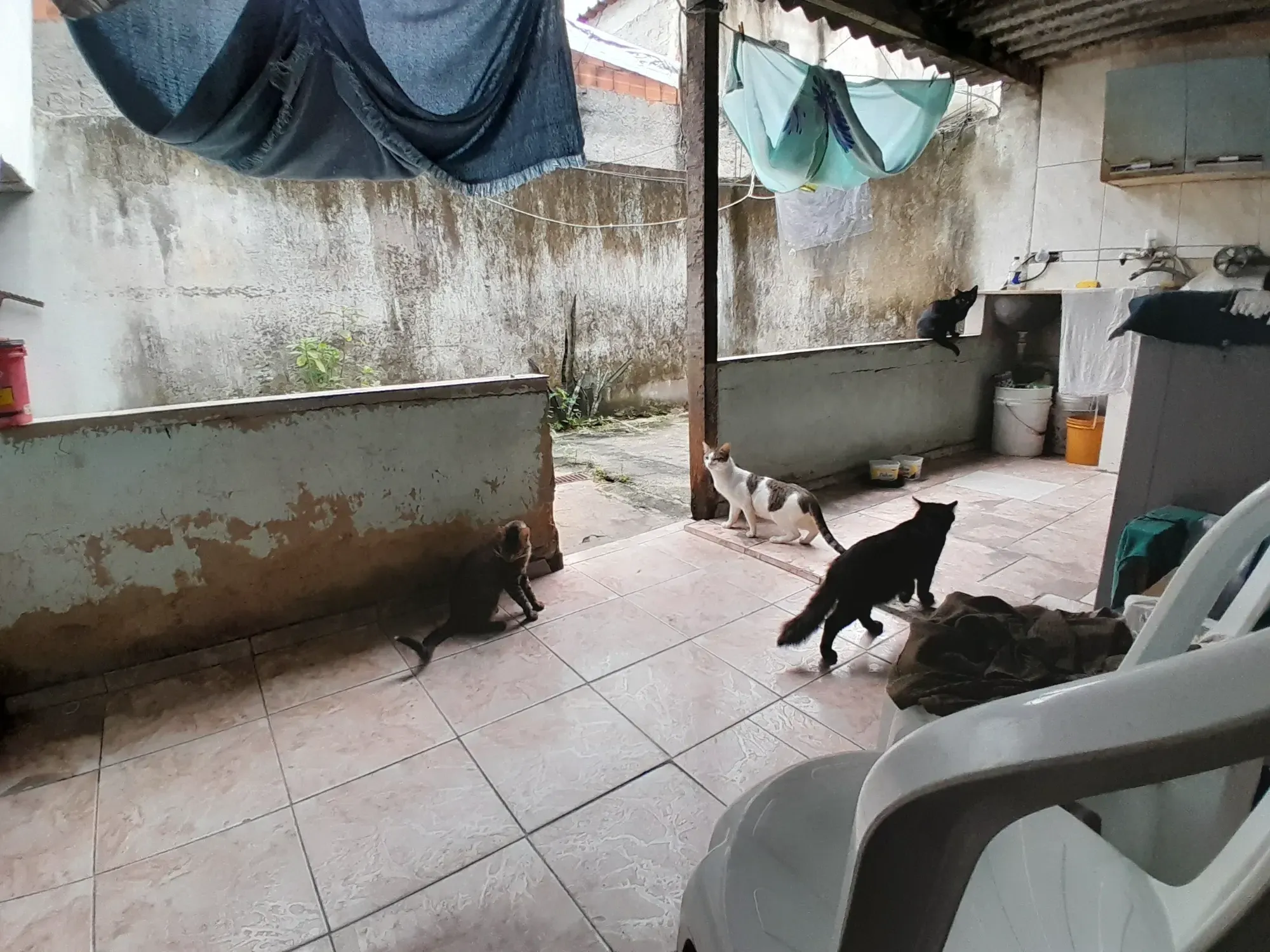 Imagem Casa com 2 Quartos à Venda, 150 metros em Bangu - Rio de Janeiro