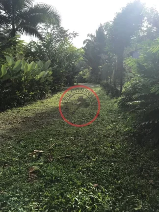 Imagem LOTE DE TERRENO EM BOISSUCANGA , DENTRO DE LOTEAMENTO COM CASAS JÁ CONSTRUIDAS. LOTE COM 725m²