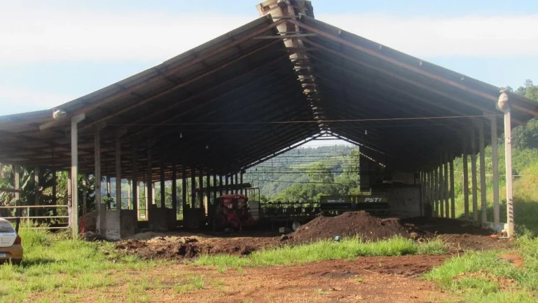 Imagem Área Agrícola para Venda em Lindóia do Sul, Centro