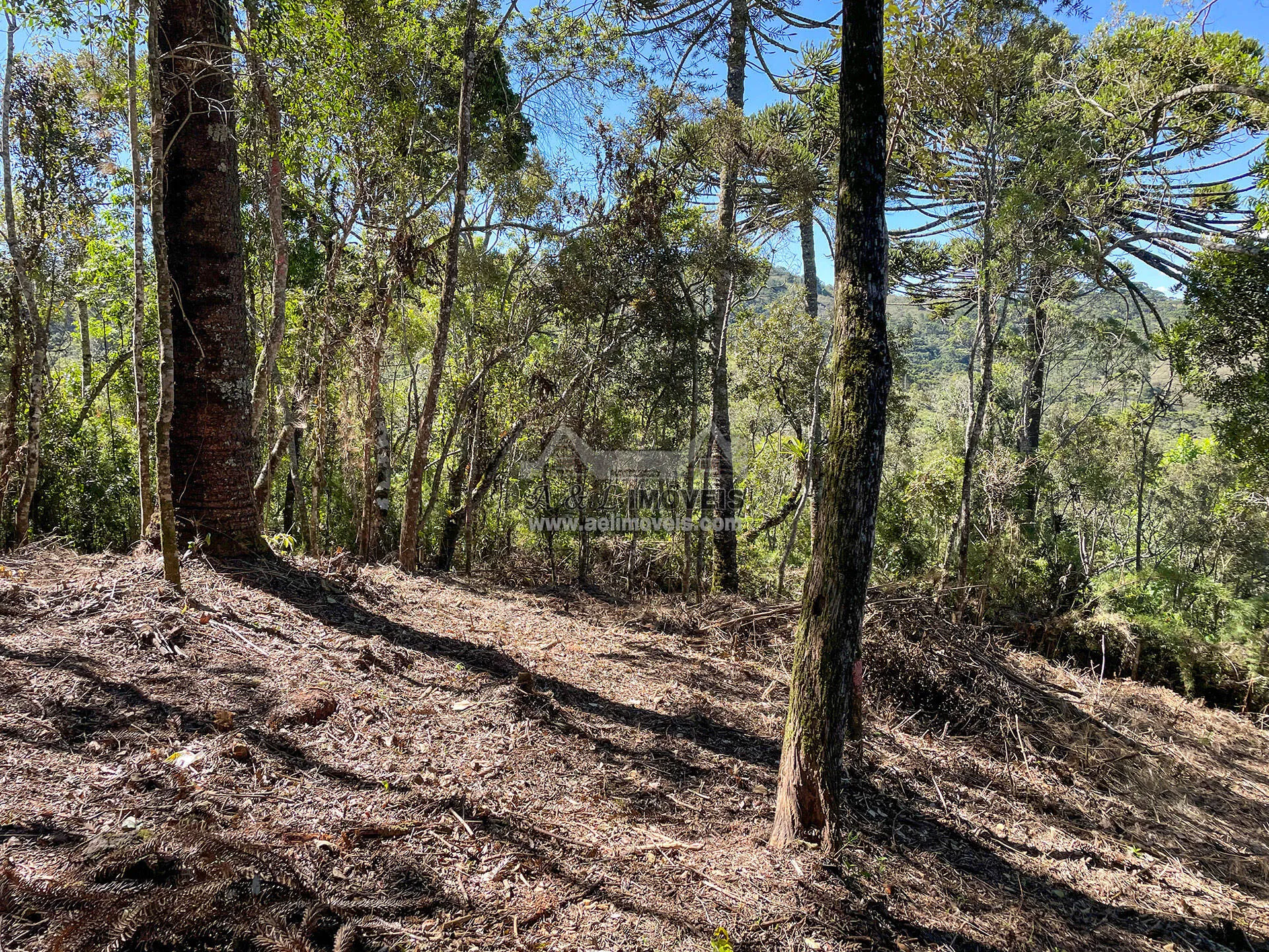 Imagem Terreno à venda em Campos do Jordão - Excelente opção para investimento