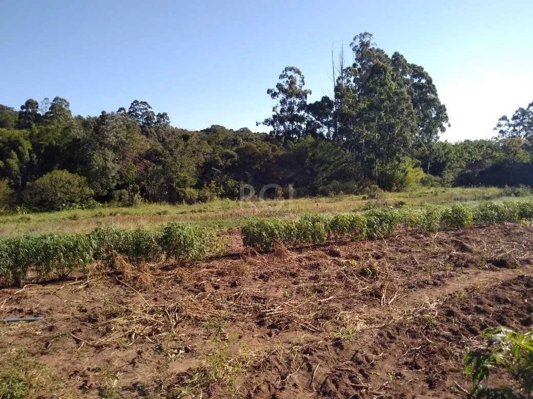 Imagem Area para Venda - 36.900m² - Campo Novo