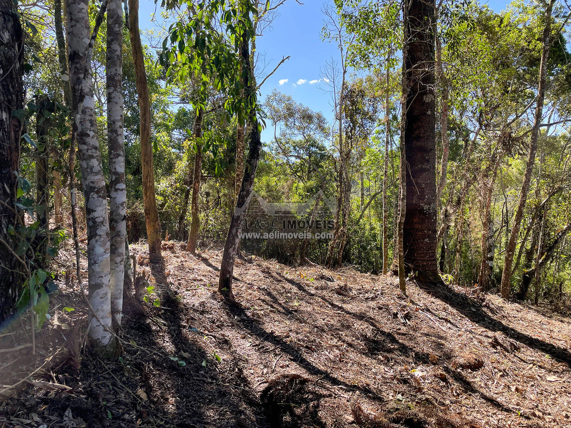 Imagem Terreno à venda em Campos do Jordão - Excelente opção para investimento