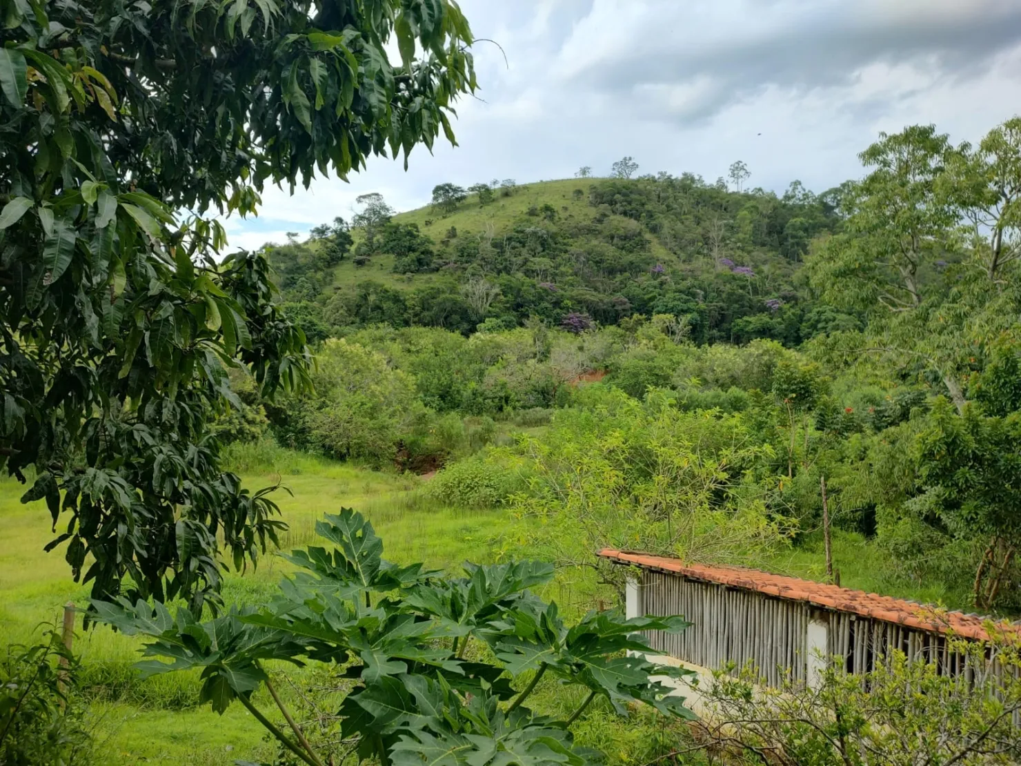 Imagem Chácara à venda 3 Quartos, 1 Suite, 20 Vagas, 24000M², Registro, Taubaté - SP
