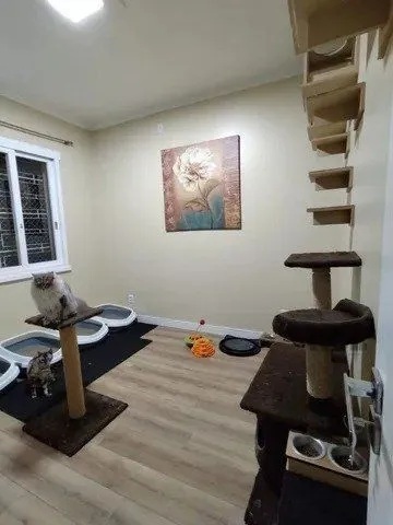 Imagem Casa em Belém Novo grande com 3 quartos, escritório