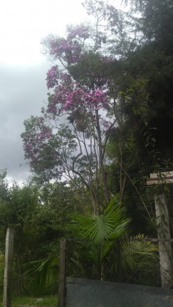 Imagem Chácara com 2 Quartos à Venda, 1.404 m² em Estrada Municipal Casqueiro - Biritiba-Mirim