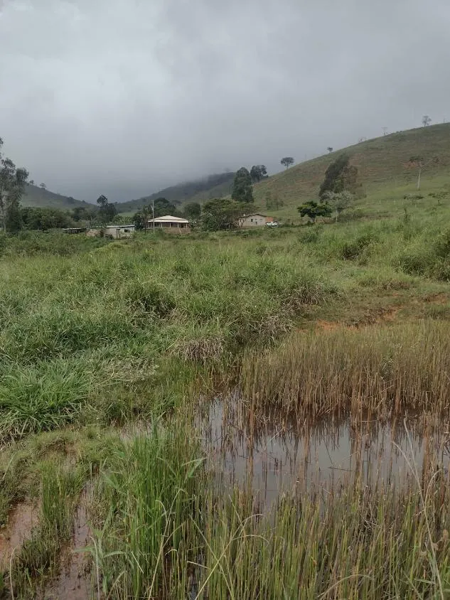 Imagem Terreno à Venda em São Domingos do Prata/MG com 25,5 hectares de terra