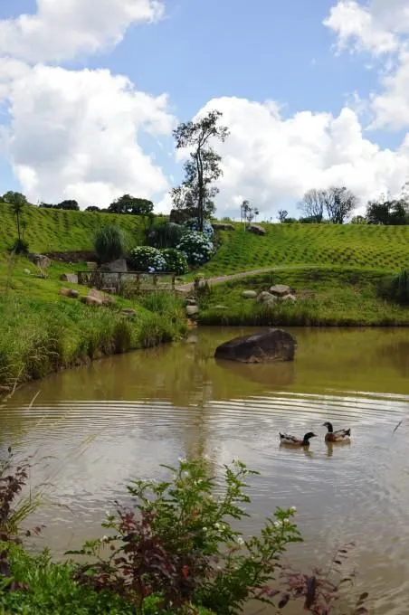 Imagem Lote à venda em Caxias do Sul, Pedancino, 750m2