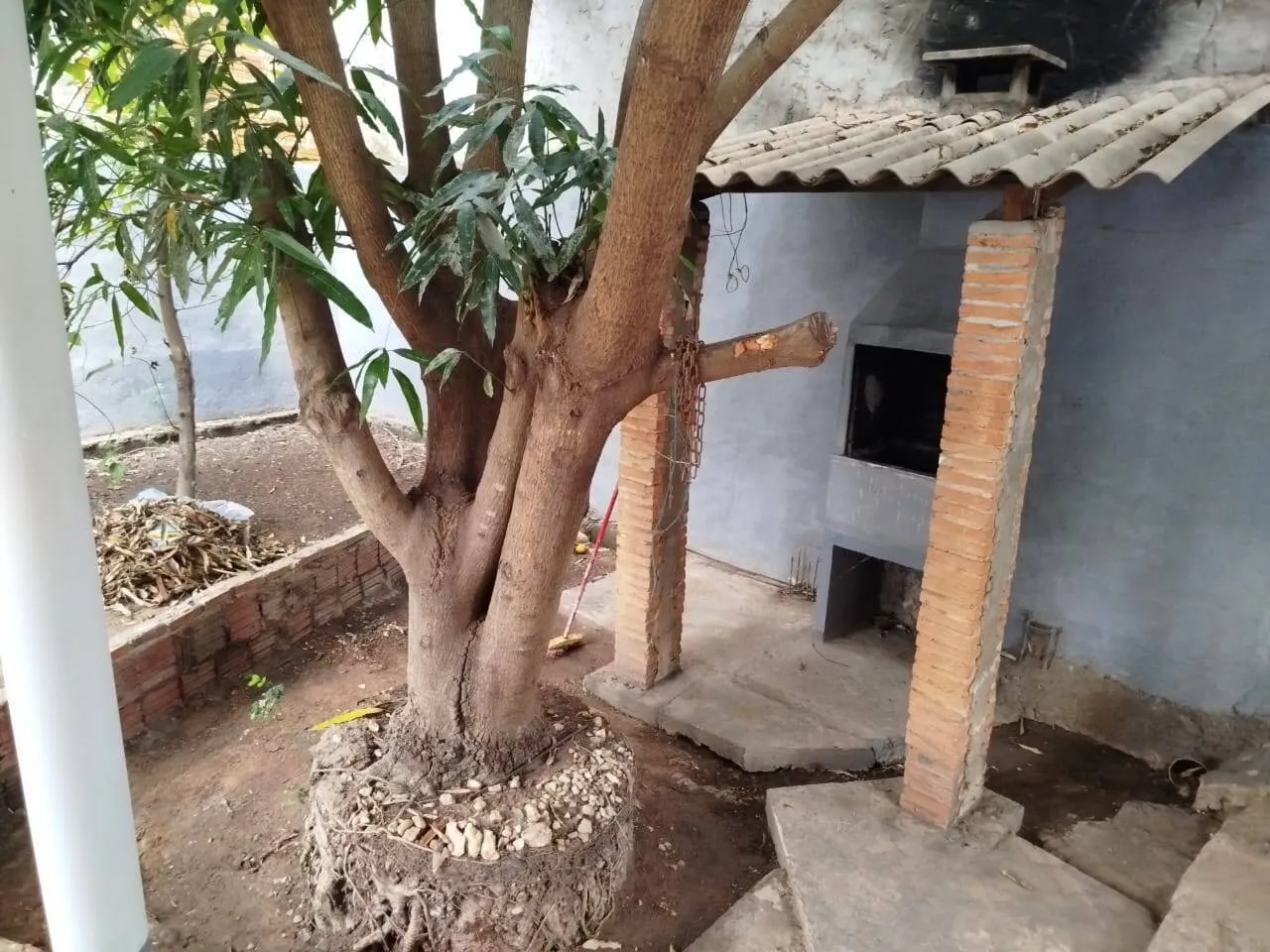 Imagem Casa 3 quartos Bairro Itapajé
