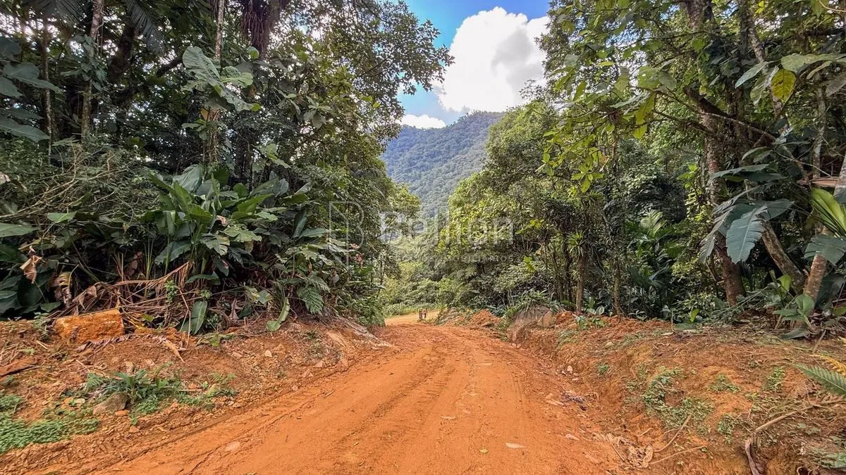 Imagem Terreno à venda em Rio dos Cedros - 45.000 m² com potencial para sítio ou cabanas