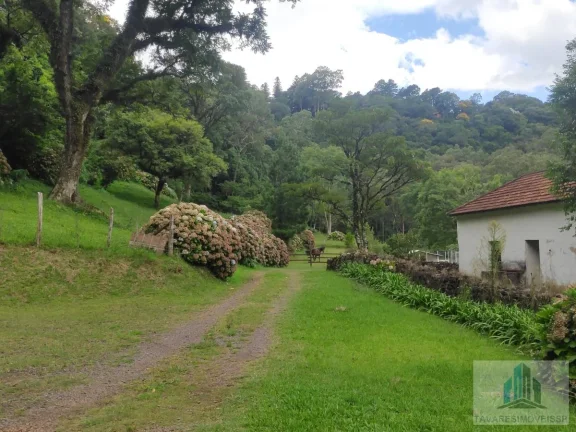Imagem Sítio com 4 quartos, 6,3 ha, à venda em Morro Reuter - RS