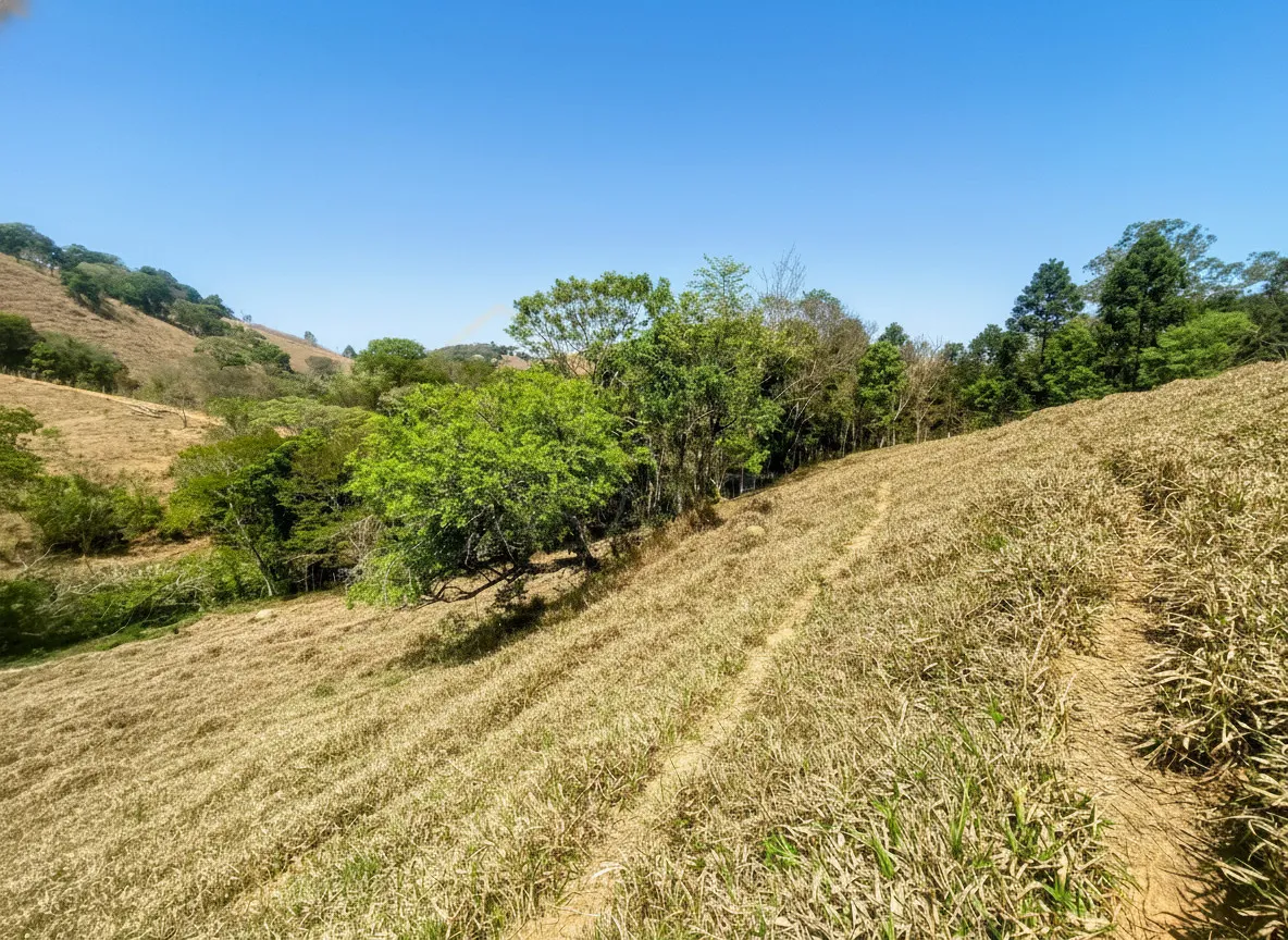 Imagem Sítio 2,42 ha à venda em Correias, Bandeira do Sul
