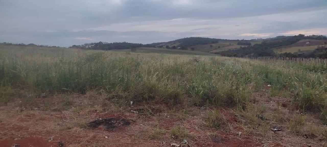 Imagem FAZENDA À VENDA - CRUCILÂNDIA (MG) 120 hectares de área total