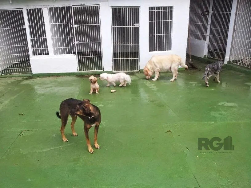 Imagem Sítio em Estância Grande