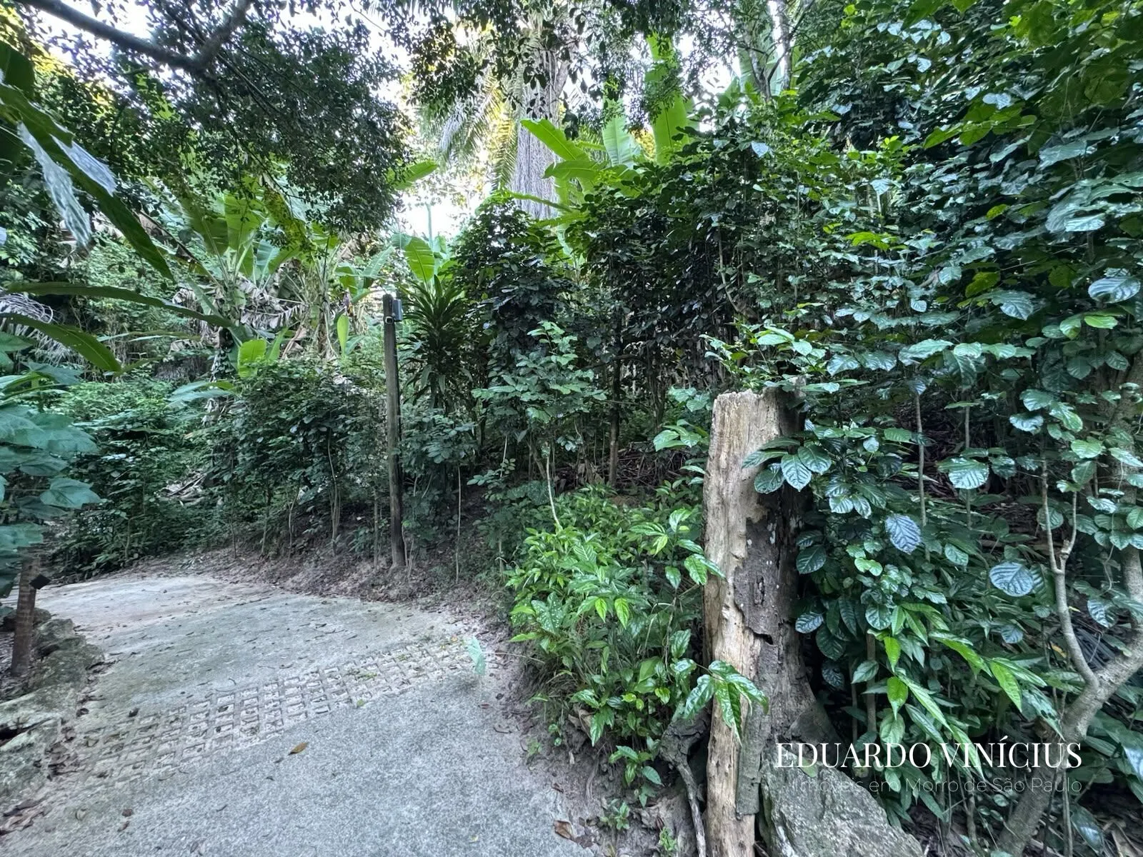 Imagem Vista Bela - Terreno com 560m² À Venda no Condomínio Vista Bela em Morro de São Paulo