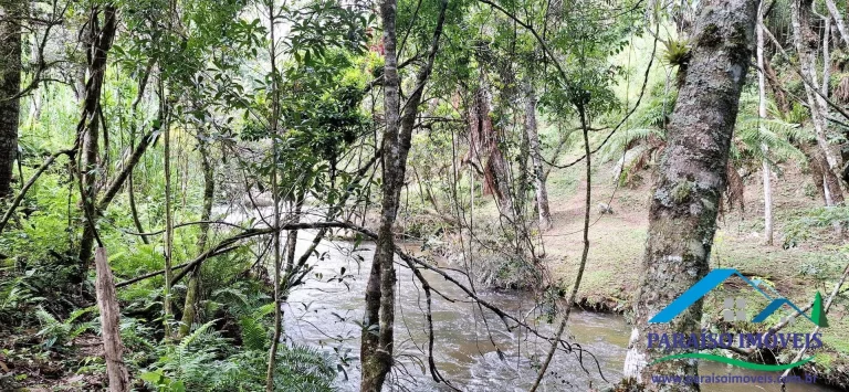 Imagem Mergulhe na Serenidade da Serra da Mantiqueira: Terreno com Cachoeira