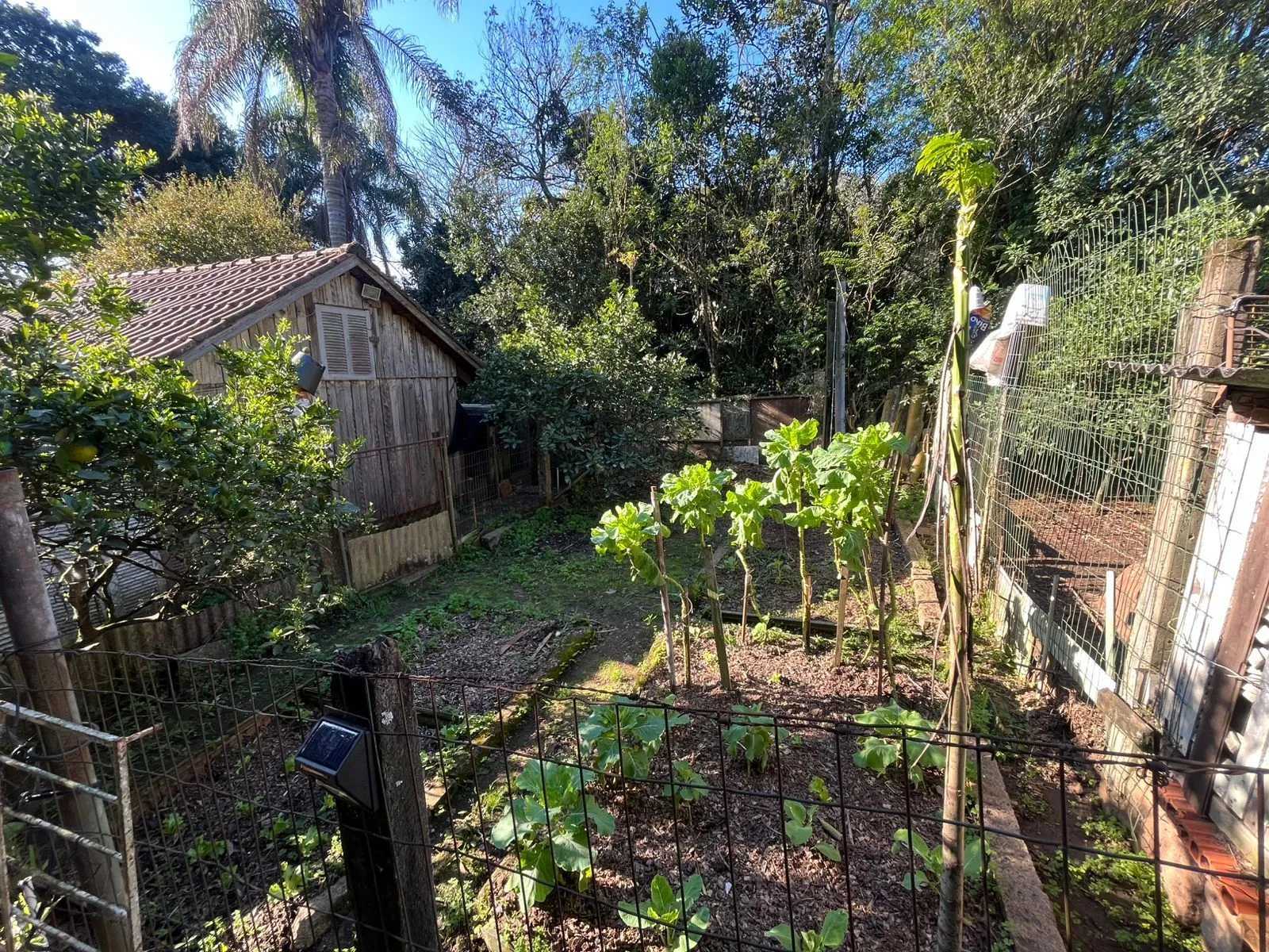 Imagem Terreno Amplo com 3 Casas - Vila Nova, Porto Alegre
