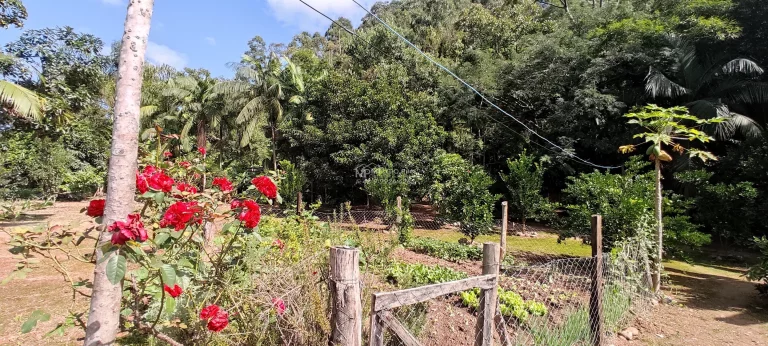 Imagem Sítio a venda, Com casa e lagoa de peixes, e riacho atravessado o terreno a 300 metros da SC 108. Boa área de 4.000m² de plantio com terra boa,