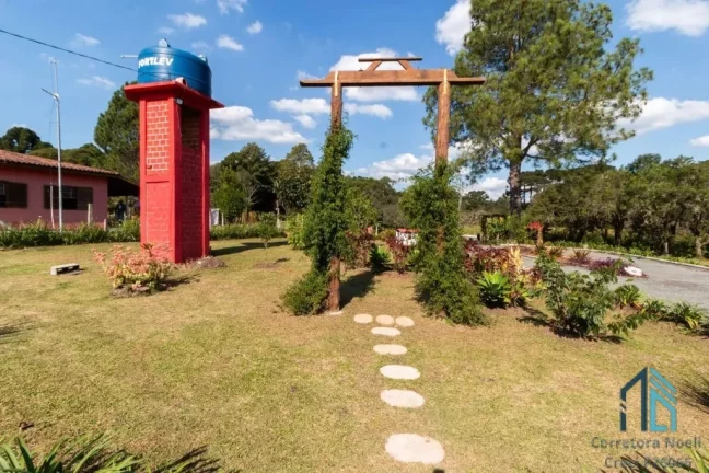 Imagem Chácara linda porteira fechada Campo Largo da Roseira em São José dos Pinhais PR