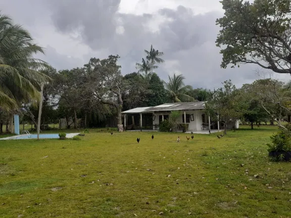 Imagem Fazenda à Venda,  em zona rural - Salvaterra