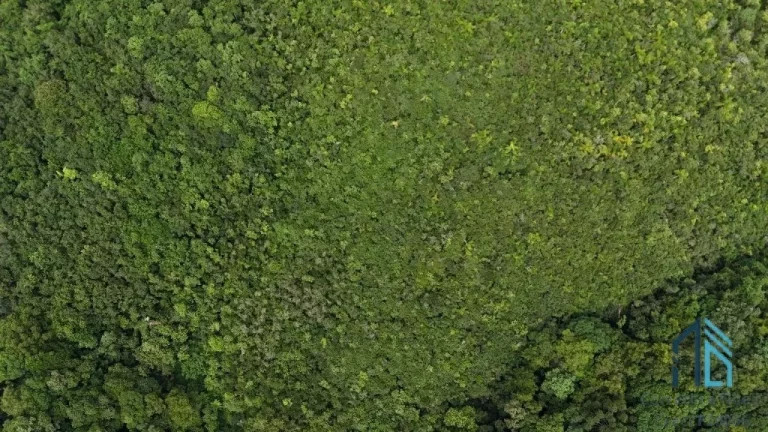 Imagem Área com 10 alqueires divisa com Rio Verde em Campo Largo - PR