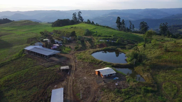 Imagem Área Agrícola para Venda em Concórdia, Interior