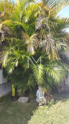 Imagem Casa Térrea à Venda 3 Quartos 1 Suíte - 200m² - Bairro Vista Verde