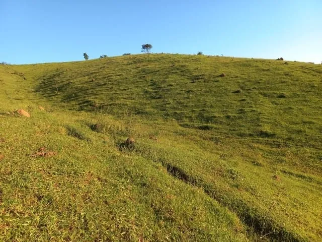 Imagem Chácara à venda 121000M², Rio Abaixo, São Luiz do Paraitinga - SP