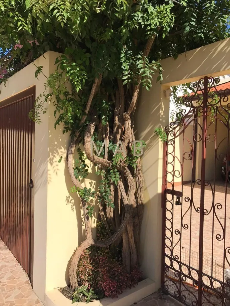 Imagem Imperdível casa à venda em Florianópolis-SC, bairro Ingleses: 5 quartos, 1 suíte, 3 salas, 4 banheiros, 3 vagas, 225m².