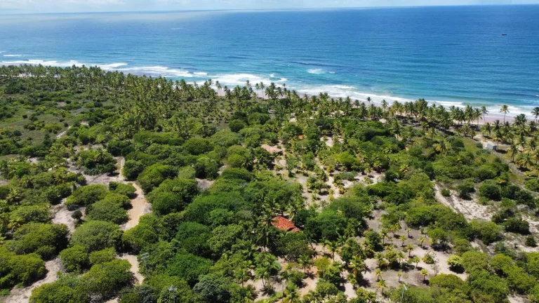 Imagem SÍTIO FRENTE MAR - MM