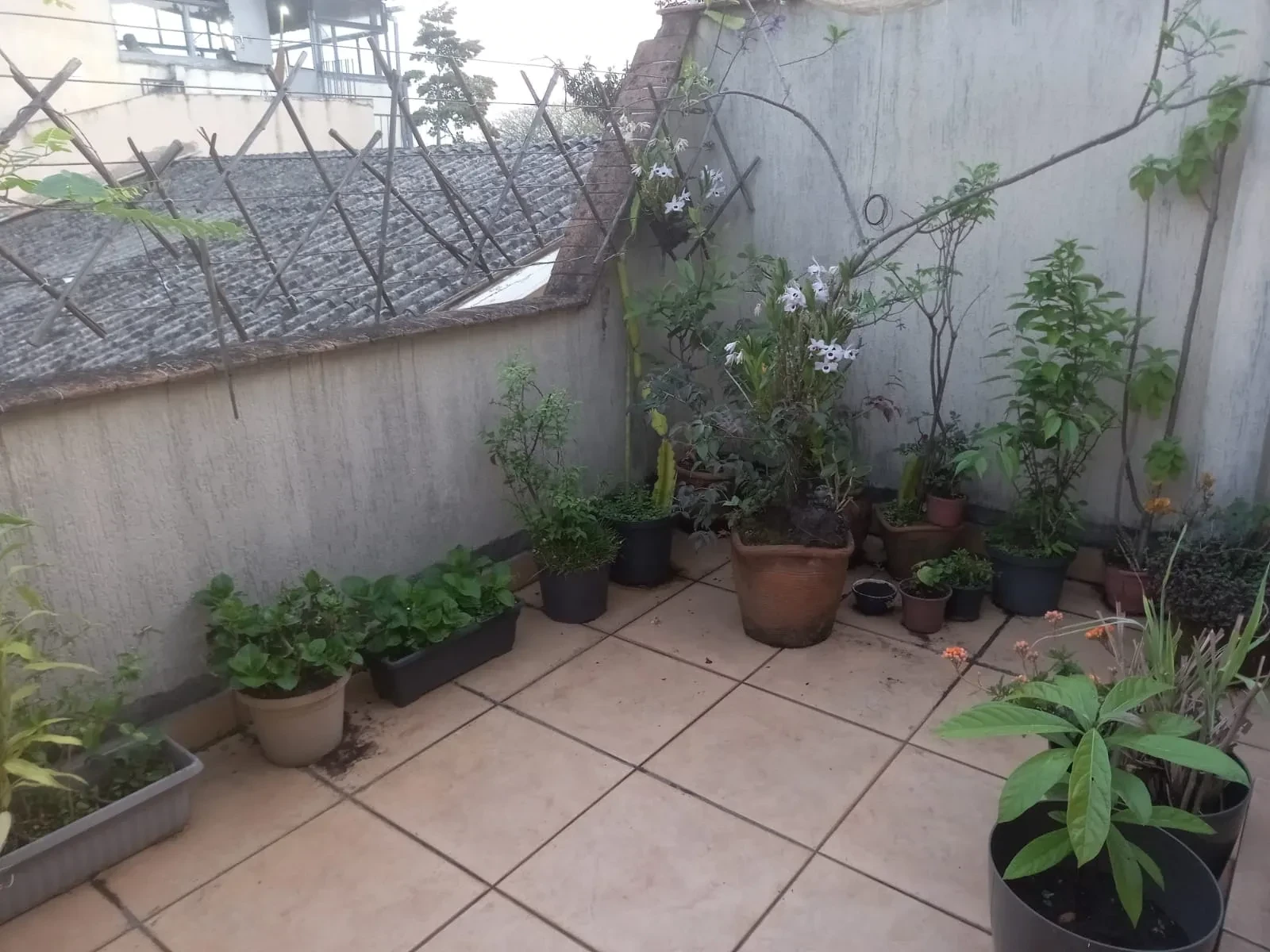 Imagem Casa com 2 Quartos à Venda, 100 m² em Parque da Lapa - São Paulo