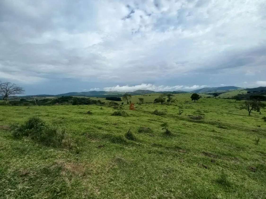 Imagem FAZENDA DE ALTO PADRÃO À VENDA - SUL DE MINAS 1.488 hectares de área total