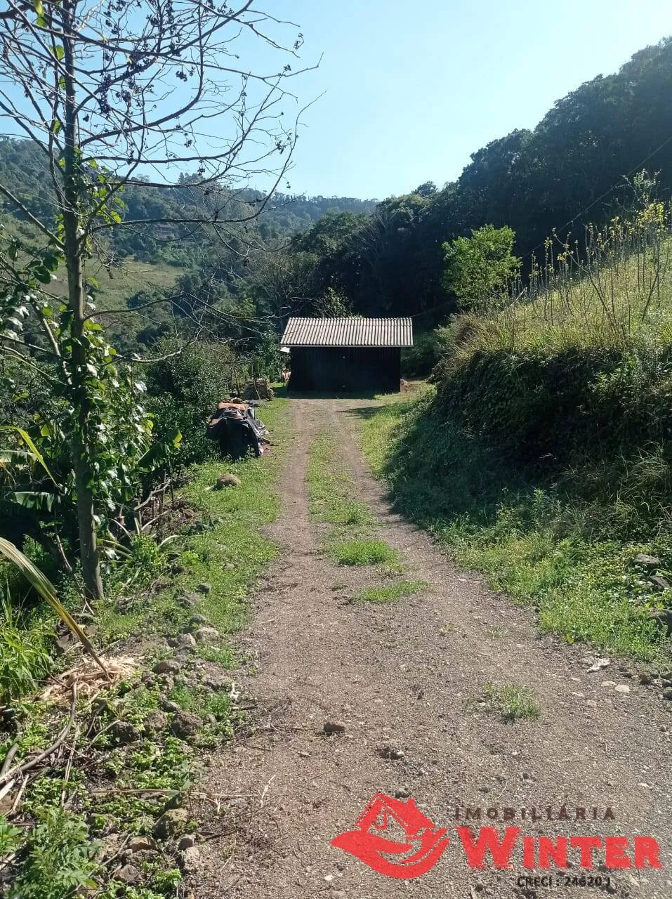 Imagem Chácara com 1,8hectares Canto Dewes, Alto Feliz.