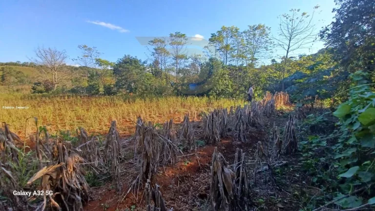 Imagem Chácara para Venda em Concórdia, Área Rural de Concórdia, 4 dormitórios, 1 suíte, 4 banheiros, 2 vagas