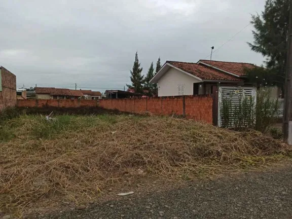Imagem Terreno à Venda, 348 m² em São Defende - Criciúma