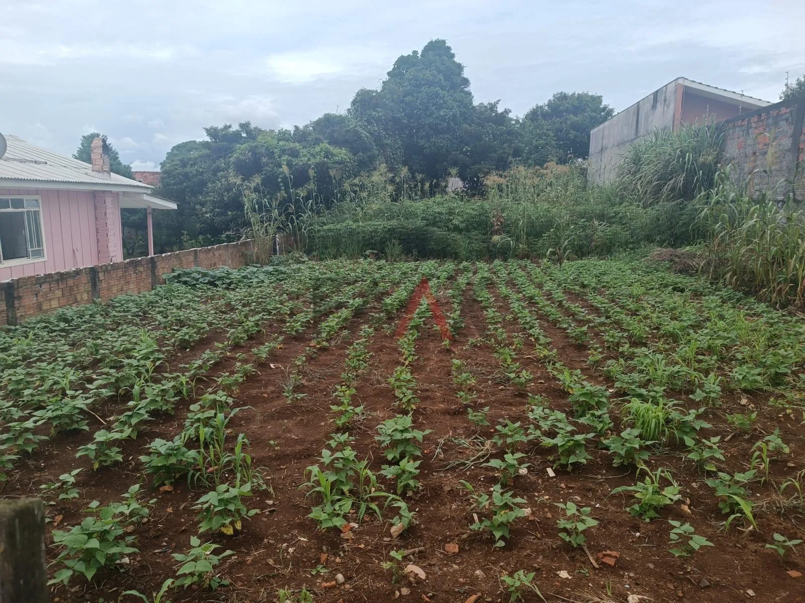 Imagem Excelente Terreno à Venda  15x40m no Bairro Primavera , GUARAPUAVA - PR