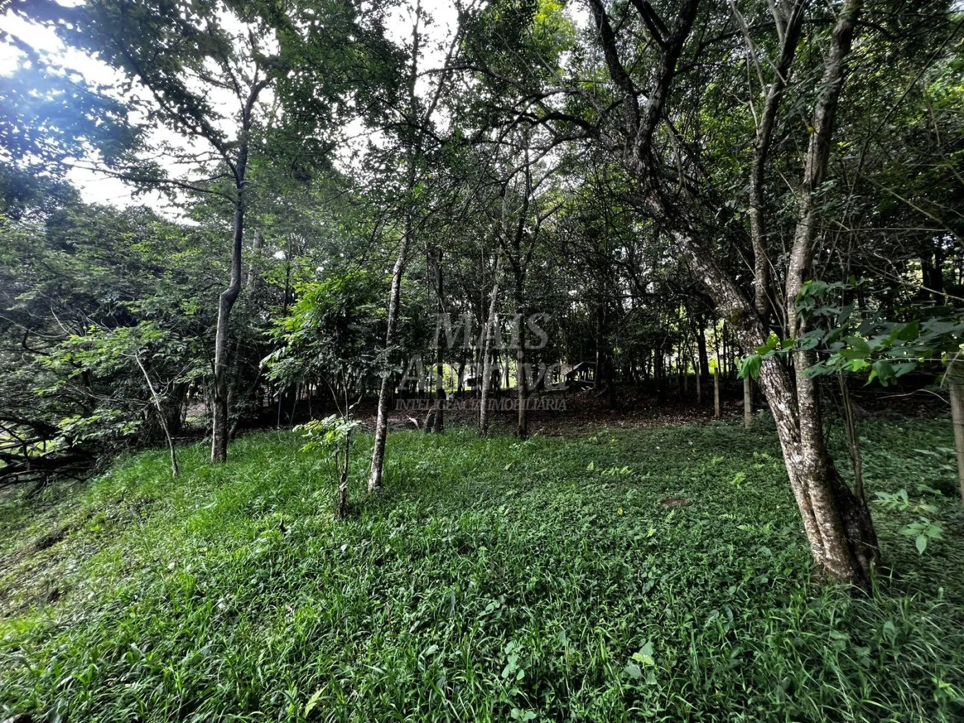 Imagem Chacara para venda em Campo Bom, Quatro Colônias Norte de 5.000m²