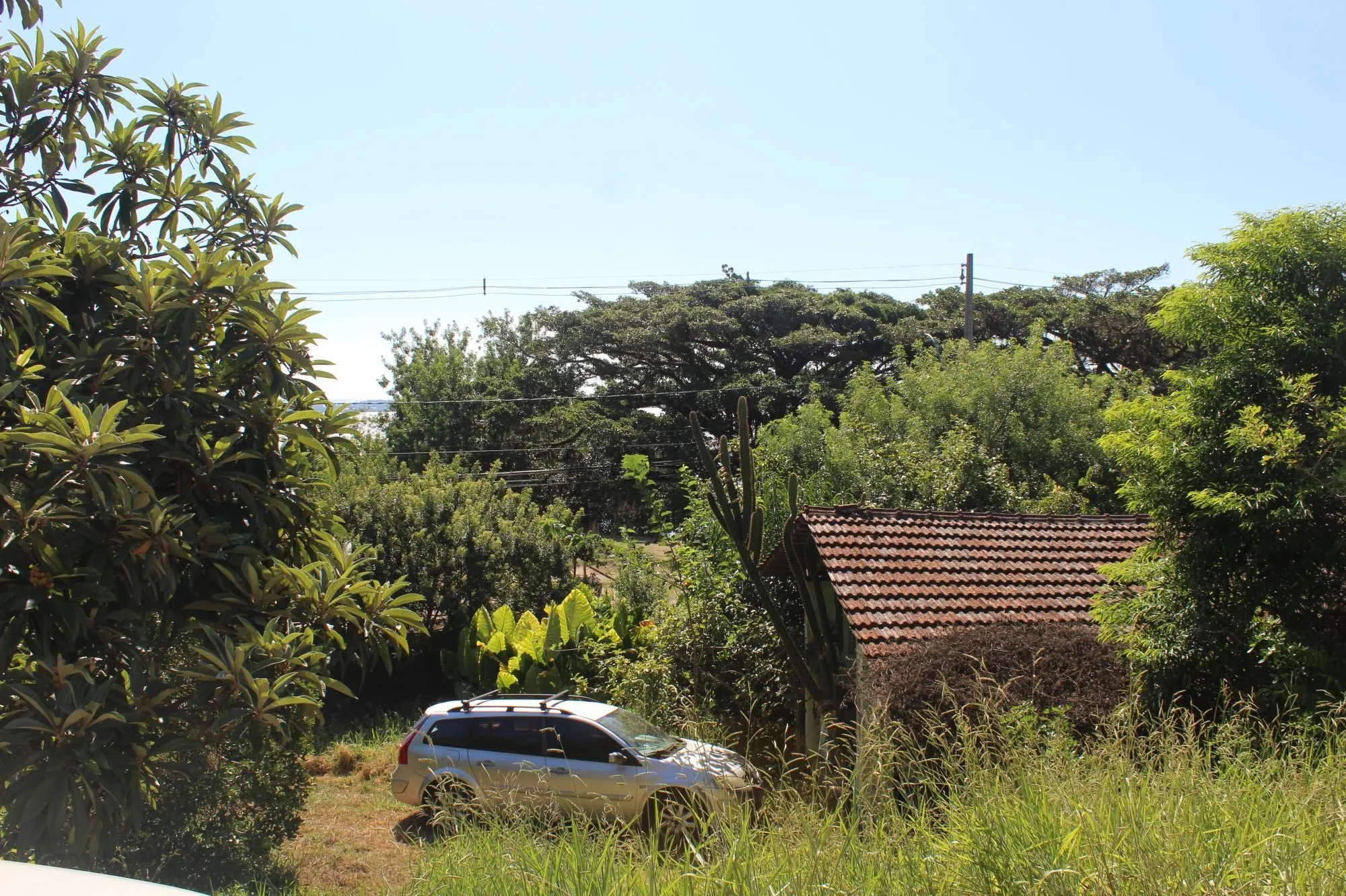 Imagem Imponente casa na Vila Assunção