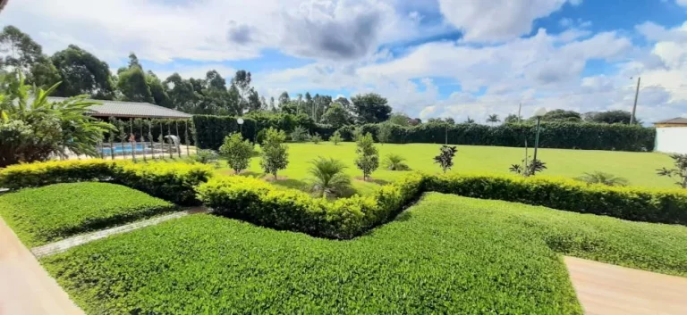 Imagem Magnífica casa a venda no Residencial Jatobá em Cesário Lange/SP