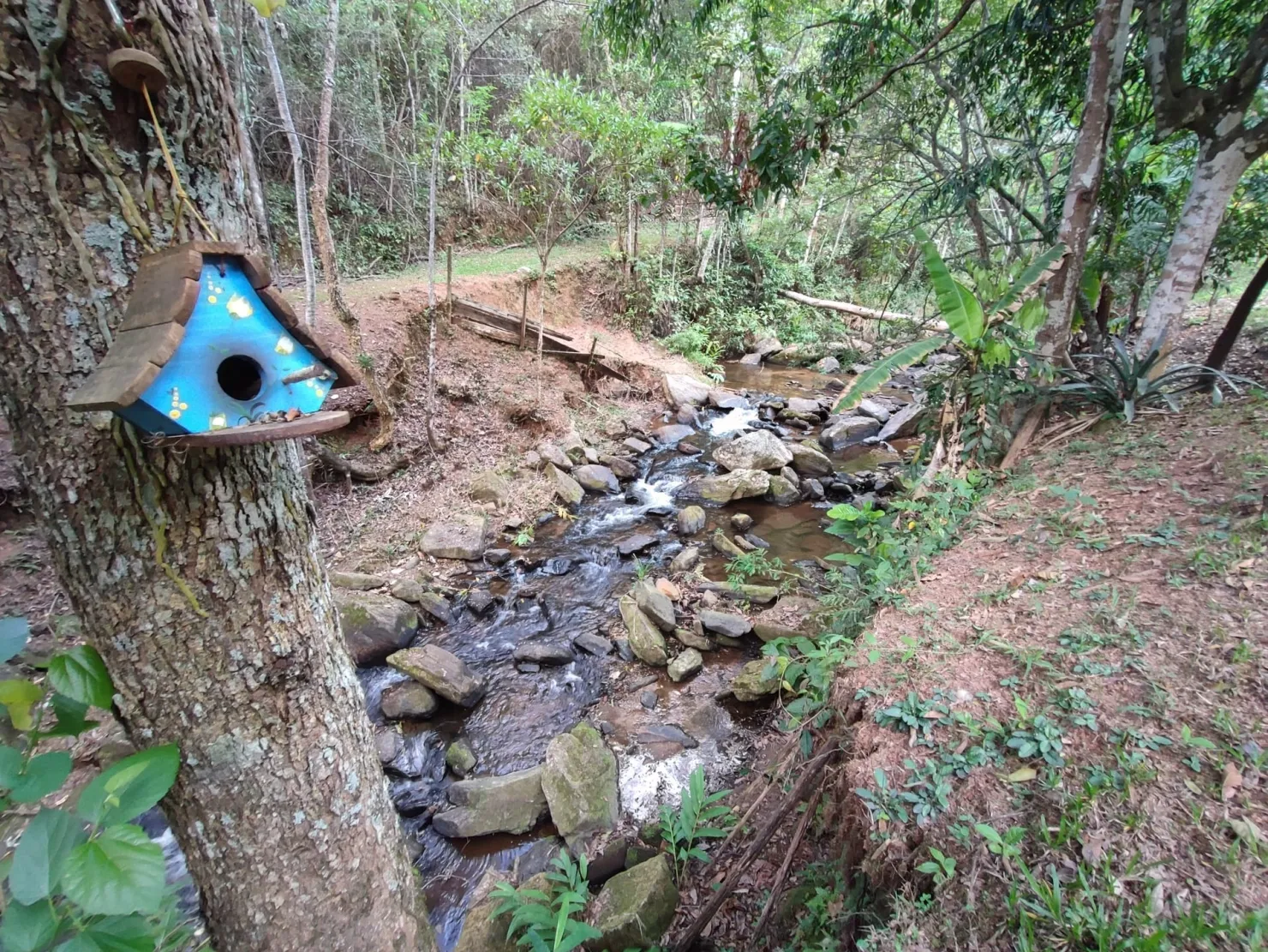 Imagem Chácara à venda 78000M², Zona Rural, Pindamonhangaba - SP