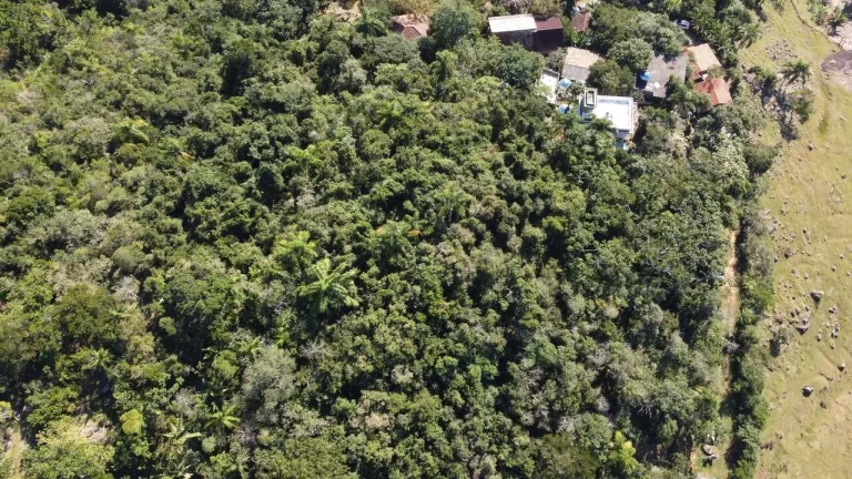 Imagem Terreno à Venda em Garopaba-SC, Praia da Gamboa, 973,63 m² de Área com Vista Mar!
