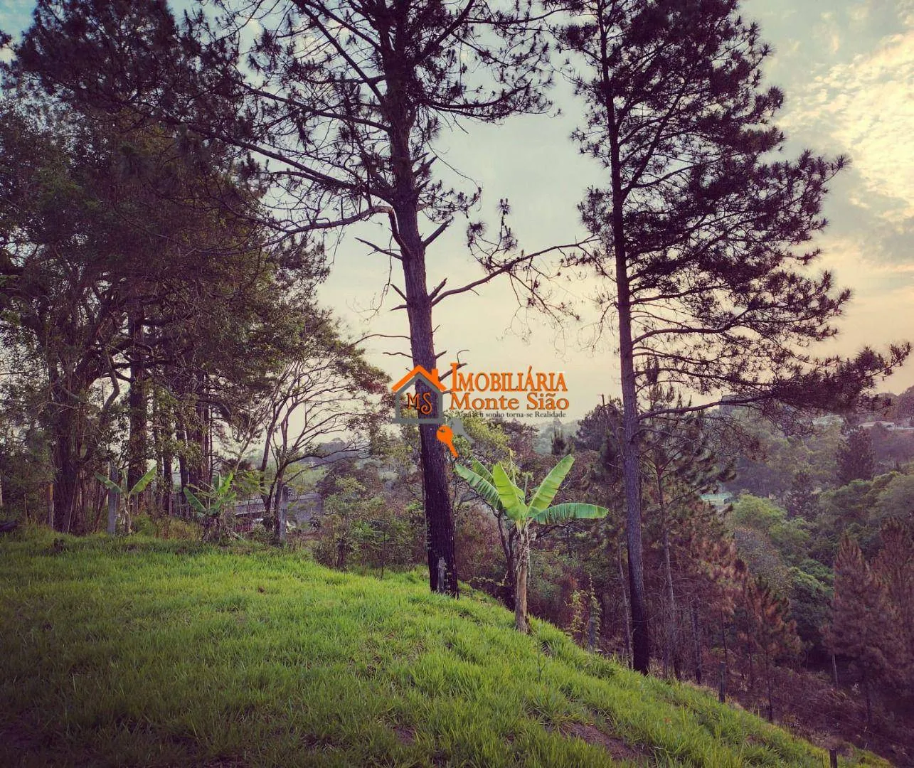 Imagem Terreno à venda, 1000 m² por R$ 490.000 - Água Azul - Guarulhos/SP
