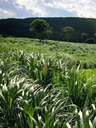 Imagem Fazenda à venda, 2178000 m² por R$ 11.600.000 - Jambeiro - Jambeiro/SP