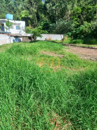 Imagem Terreno em Terra Preta/ Jardim Pereira